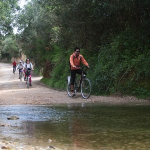 Abilio Bikes Shop & Rentals